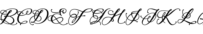 Perfecto Calligraphy Bold Font UPPERCASE