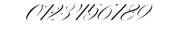 Perfecto Calligraphy Thin Italic Font OTHER CHARS