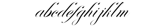 Perfecto Calligraphy Thin Italic Font LOWERCASE