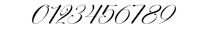 Perfecto Calligraphy Font OTHER CHARS