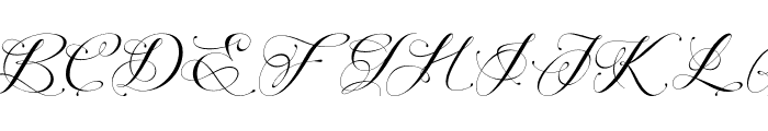 Perfecto Calligraphy Font UPPERCASE