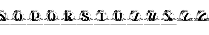 Petal Flower Line Monogram Font LOWERCASE