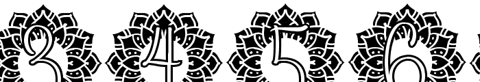 Petals Mandala Monogram Font OTHER CHARS
