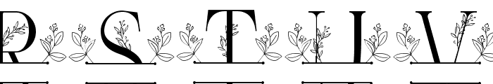 Petite Buds Line Monogram Font LOWERCASE