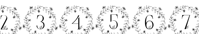 Petite Floral Monogram Font OTHER CHARS