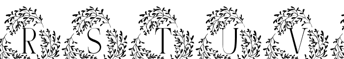 Petite Leaves Monogram Font UPPERCASE