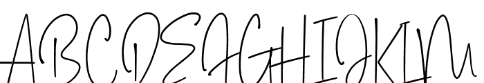 Photography Signature Font UPPERCASE