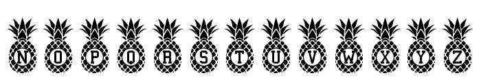 PineappleMonogram Font UPPERCASE