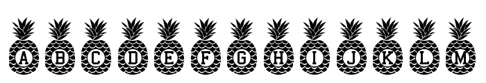 PineappleMonogram Font LOWERCASE