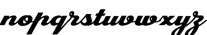 PlastunScript Font LOWERCASE