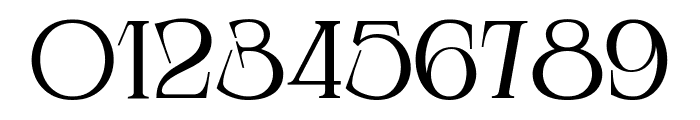 Pocapops Serif Font OTHER CHARS