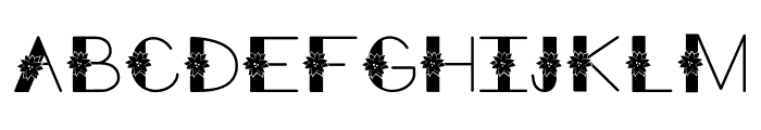 Poinsettia Decorative BP Regular Font LOWERCASE