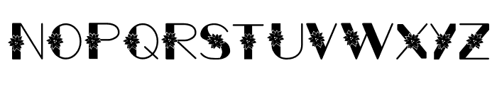 Poinsettia Decorative BP Regular Font LOWERCASE