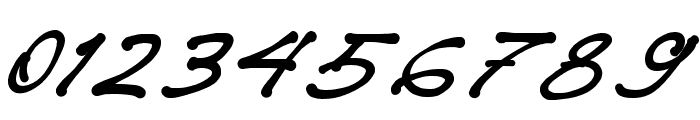 Pollard_Signature Font OTHER CHARS