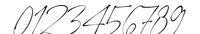 Ponpewd Signature Font OTHER CHARS