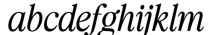 Praktive Italic FONT