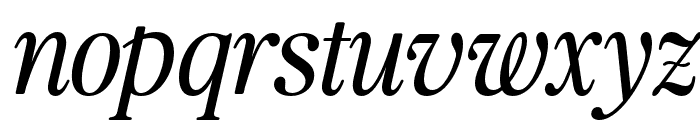 Praktive Italic Font LOWERCASE