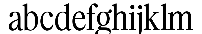 Praktive Regular FONT