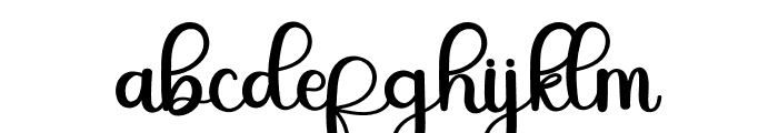 Premium Signature Font LOWERCASE