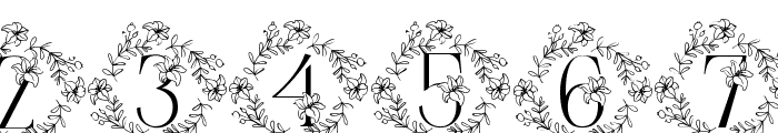 Pretty Floral Lily Monogram Font OTHER CHARS