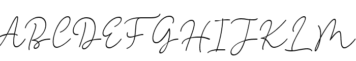 Printed Signature Italic Italic Font UPPERCASE