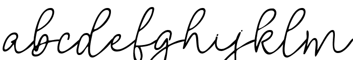 Printed Signature  Thin Italic Font LOWERCASE