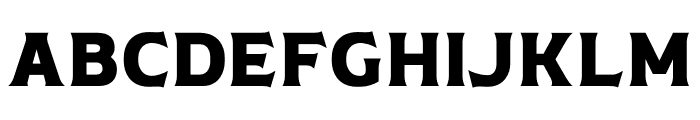 Pronter Serif Font LOWERCASE