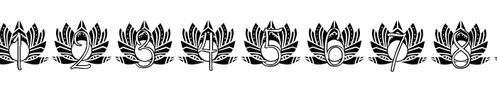 Pure Lotus Mandala Monogram Font OTHER CHARS