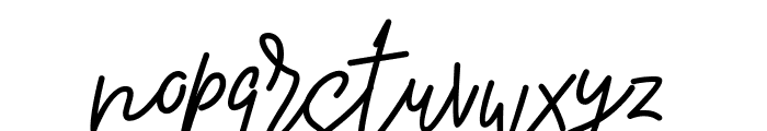 Pure Tintri Script Font LOWERCASE