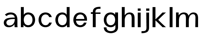 Putrey Regular Font LOWERCASE