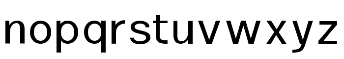 Putrey Regular Font LOWERCASE