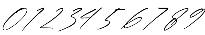 Qalisha Signature Script Italic Font OTHER CHARS