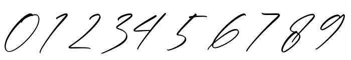 Qalisha Signature Script Font OTHER CHARS