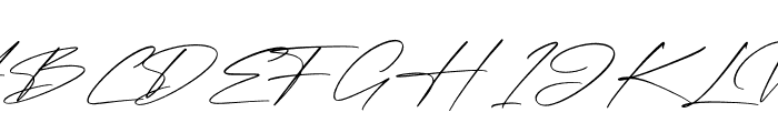Qalisha Signature Script Font UPPERCASE