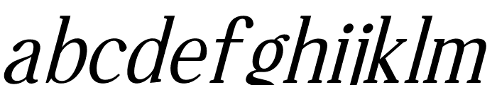 Qamilion Italic Font LOWERCASE