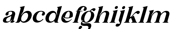 Qanect Elegant Italic Font LOWERCASE
