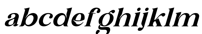 QanectElegant-Italic Font LOWERCASE