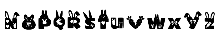 Rabbit Font Regular Font LOWERCASE