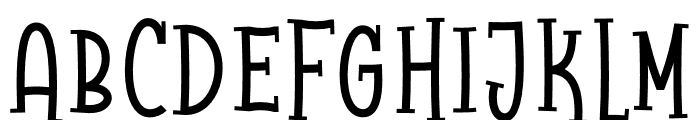 Raccoon Serif Font UPPERCASE