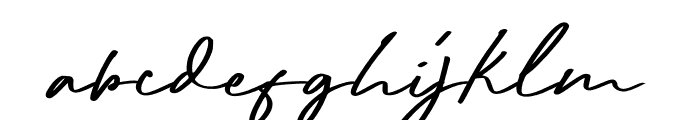 Radditya Signature Font LOWERCASE