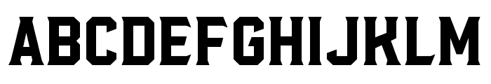 Radley-Serif Font LOWERCASE