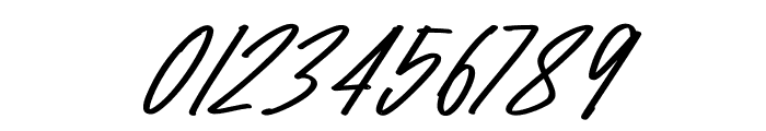 Raidden Bold Italic Font OTHER CHARS