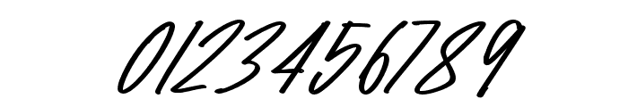 Raidden-BoldItalic Font OTHER CHARS