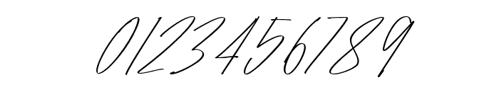 Raidden-ThinItalic Font OTHER CHARS