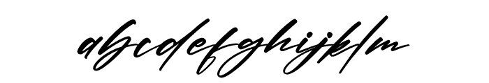 Randelion Signate Font LOWERCASE