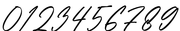 Rastin Signatures font Font OTHER CHARS