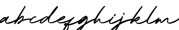 Rastin Signatures font Font LOWERCASE