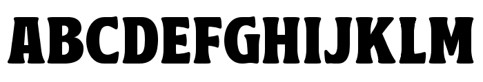 Rawnster Serif Regular Font LOWERCASE