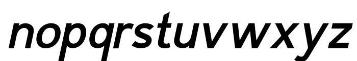 Rdn Sans Italic Font LOWERCASE