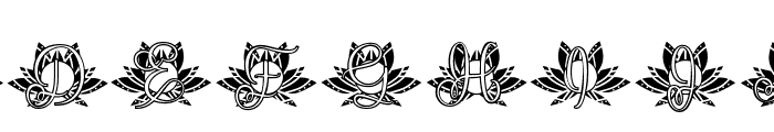 Rebirth Lotus Mandala Monogram Font UPPERCASE
